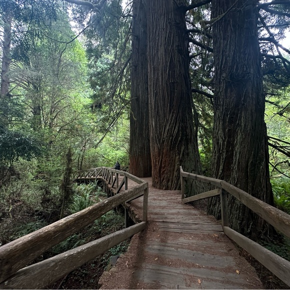 Meet your Posher, Riley - Picture 3 of 3